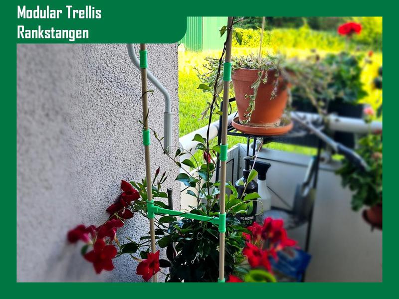 Modulare Trellis /  Rankstangen / Plant Support