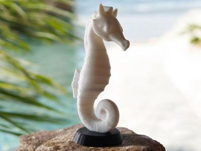 Seahorse