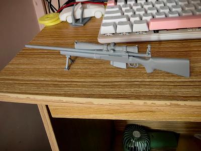 M24 Sniper Rifle, with a pull-back bolt, detachable magazine, and scope attachment