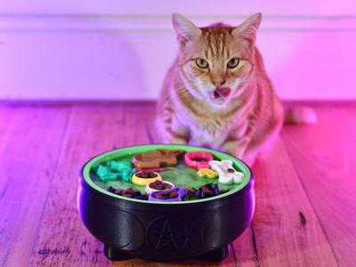 Meogical Potion Treat Game for cats