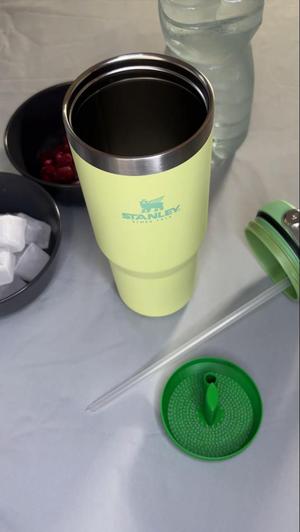 Stanley Cup Fruit Strainer (Fruit Filter)