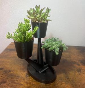 Tree Pot with water exit