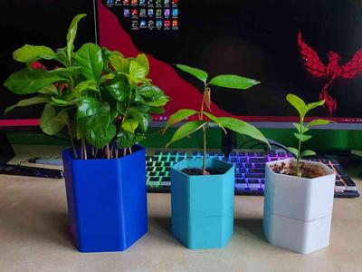 Hex Pot - self-watering flower pot