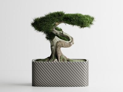 Plant Pot Fine Rib Rounded Rectangle Low