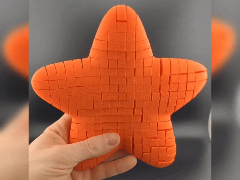 Ocean Motion: Flexi Starfish!