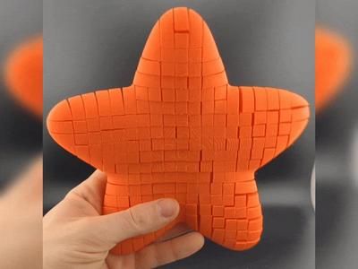 Ocean Motion: Flexi Starfish!