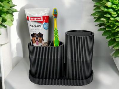 Dog Toothbrush Organizer Bathroom