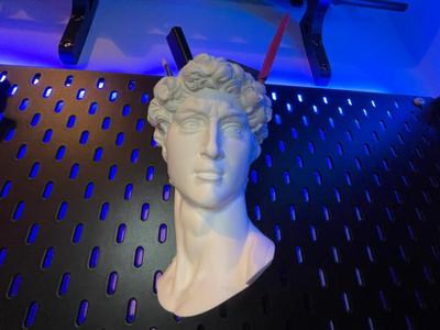 Michelangelo’s David’s head Flowerpot / pen holder