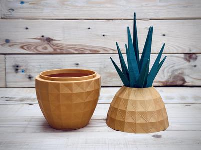 Pineapple Container