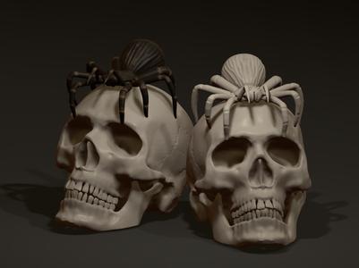 Skull with spider