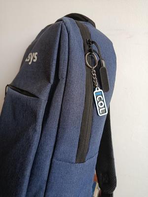 Llavero/keychain Franco Colapinto Alpine F1 Racing Team
