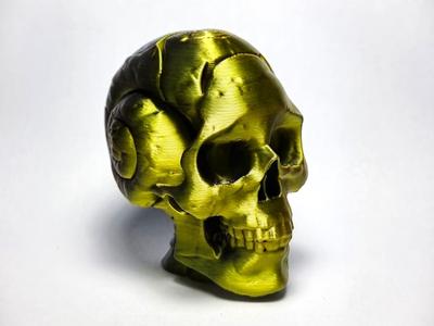 Fibonacci Skull