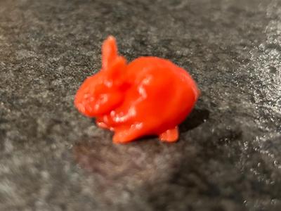 tiny rabbit