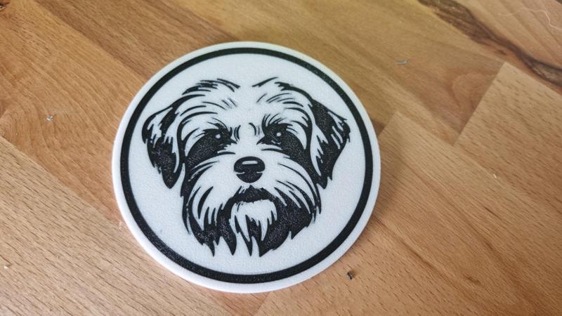 Maltese dog coaster