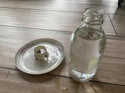 Pet & Bird Water Bowl chicken