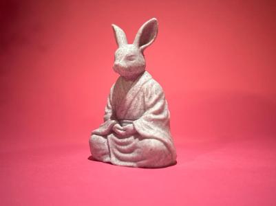 Bunny Meditating