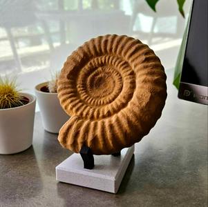 Ammonite sculpture