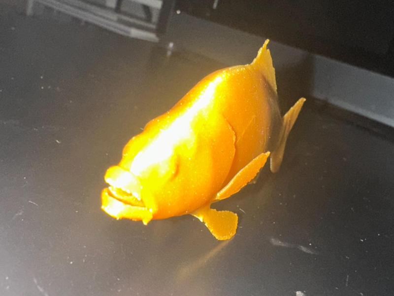 carp