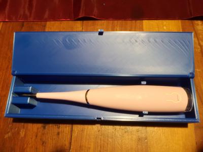 Tooth stripper holder box