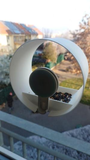 IKEA Tisken window see-through bird feeder