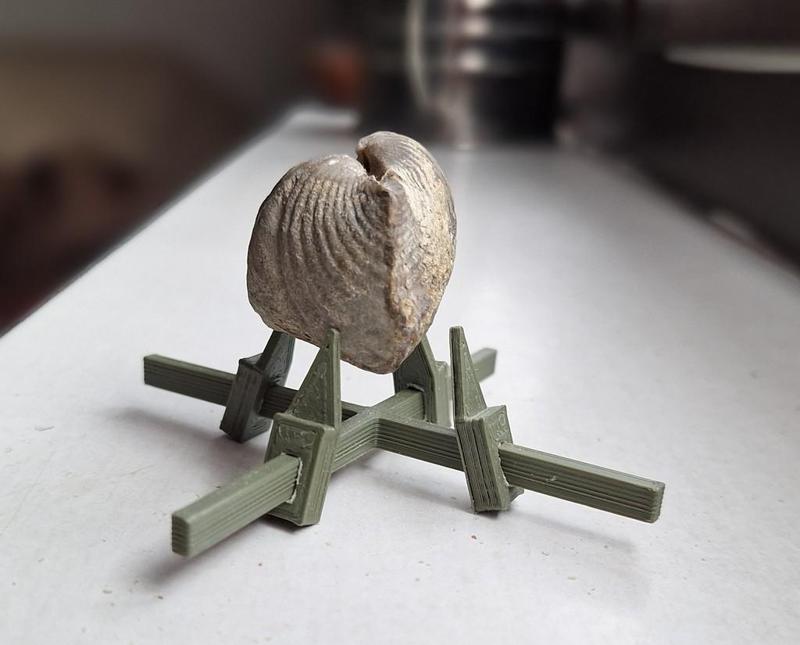 Adjustable object holder for photographing small fossils