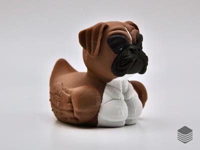 Boxer Duck