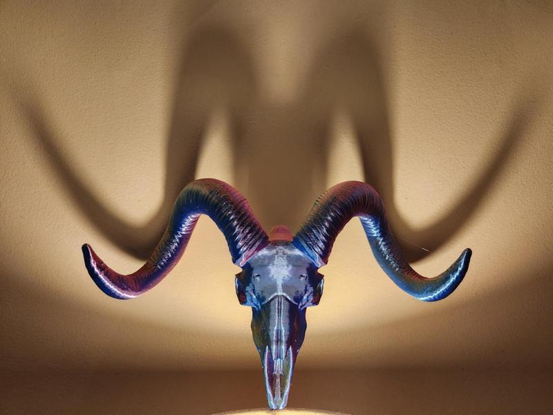 "The RAM" Skull