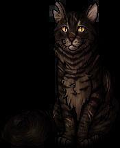 Tigerstar