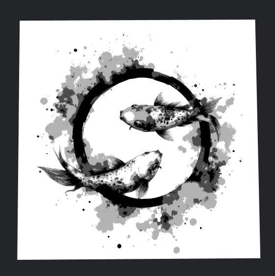koi fish in circling