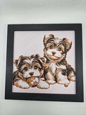 Yorkshire Terrier Biewer Puppy with ball