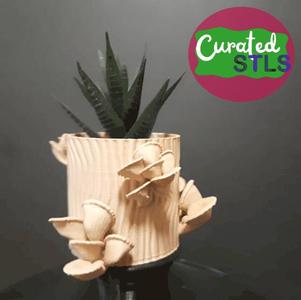 OYSTER MUSHROOMS ON LOG PLANTER - WITH OR WITHOUT DRAINAGE - OPTIONAL CONTAINER LID