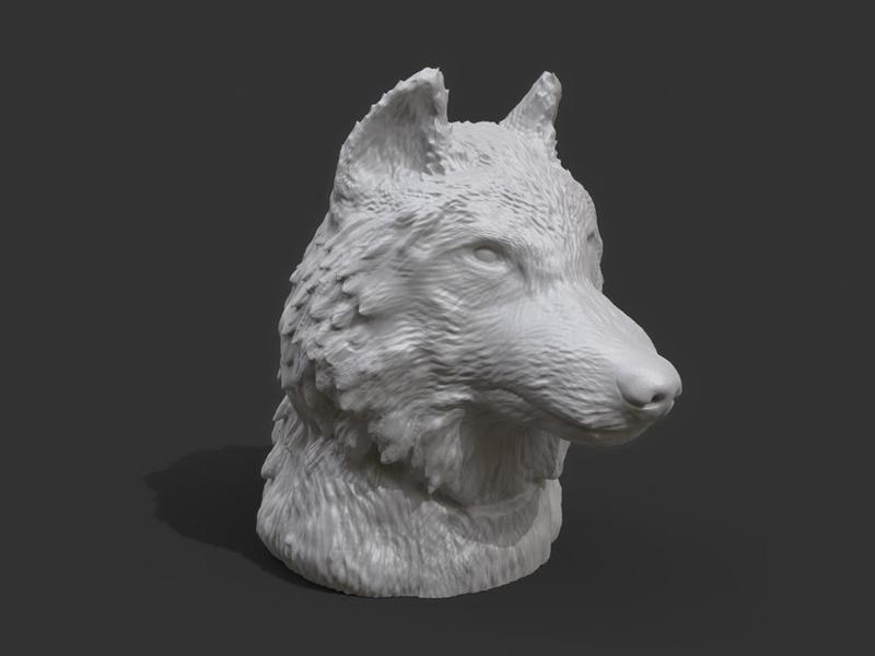 Wolf Head