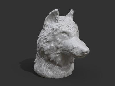 Wolf Head