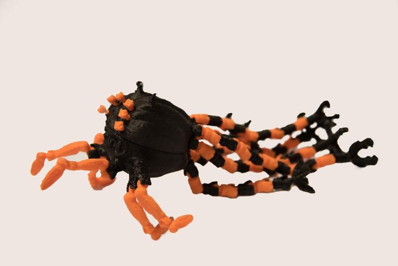 Sentinel Squid