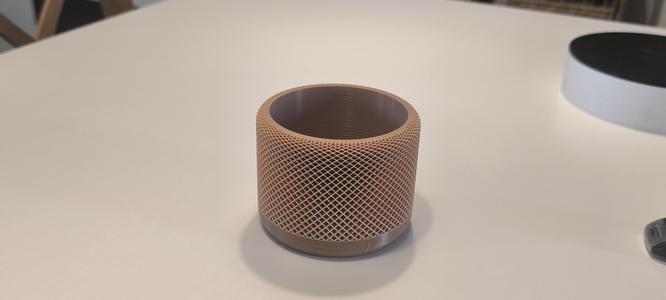 Vase Plant.stl