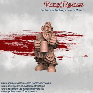 Dark Realms Denizens of Fantasy - Dwarf Male 1