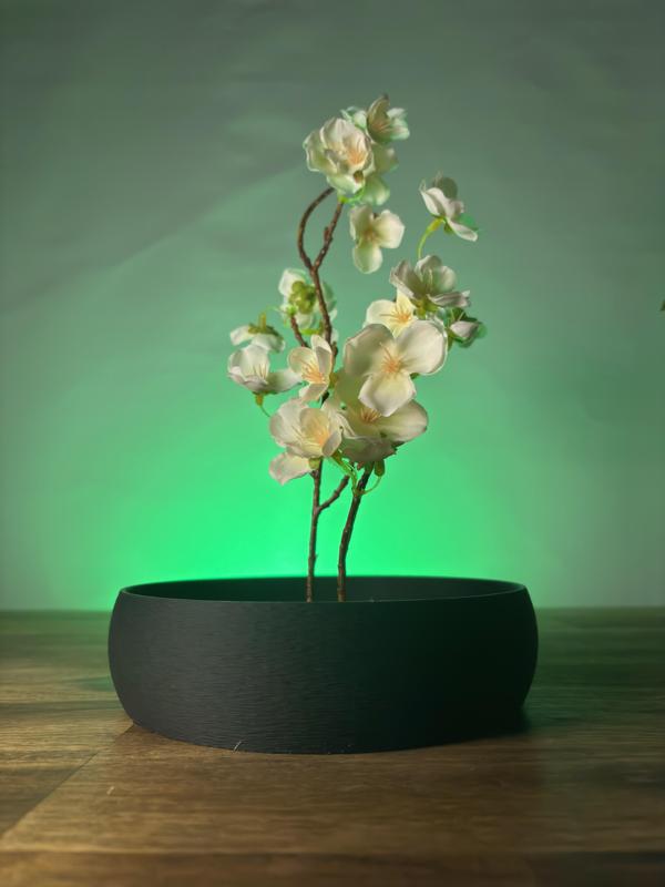 Simple Plate - Ikebana Bowl (Japanese Flower Arrangement)