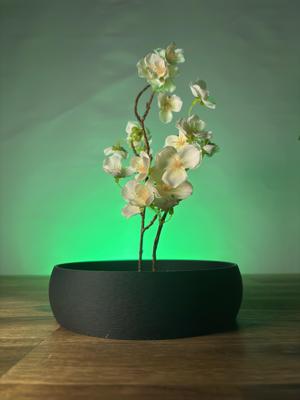 Simple Plate - Ikebana Bowl (Japanese Flower Arrangement)