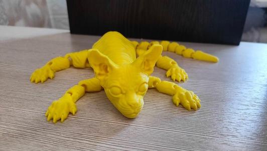 flexible sphinx cat