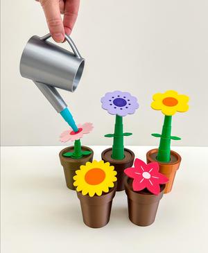 Potted Flowers and Watering Can