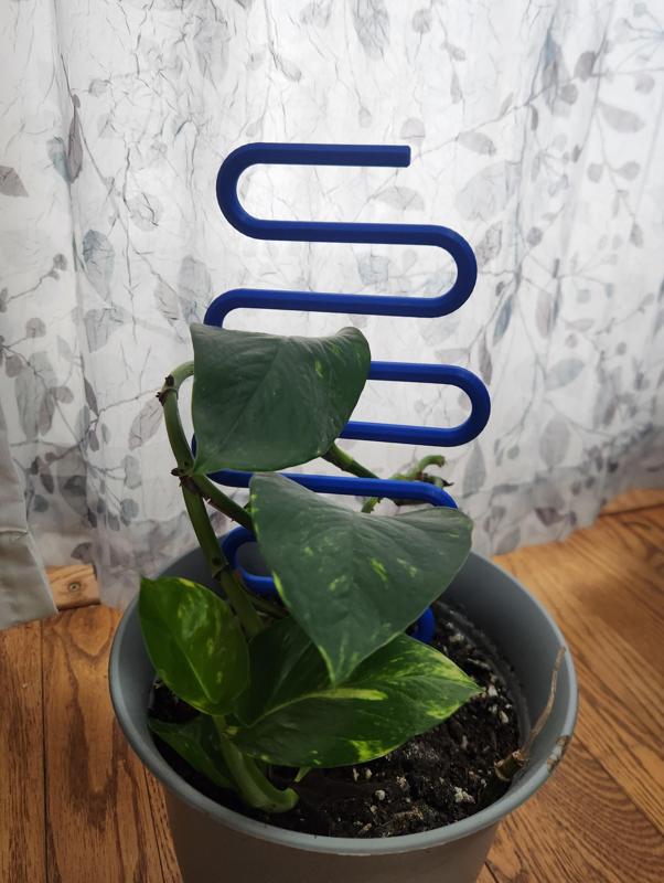 Snaking plant stake