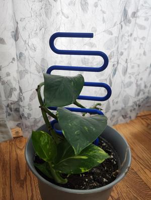 Snaking plant stake
