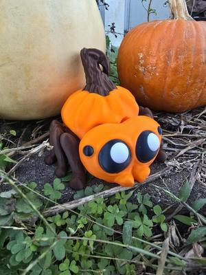 Pumpkin Spider