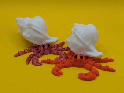 Articulated hermit crab   
