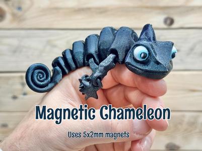 Magnetic Chameleon 