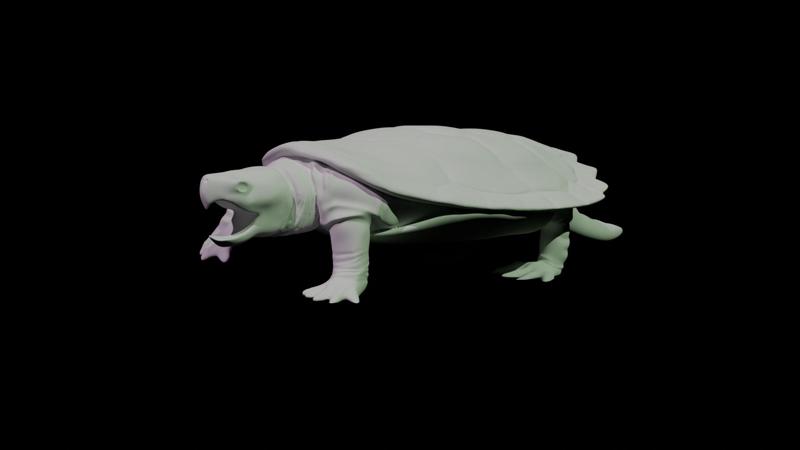 Snapping Turtle