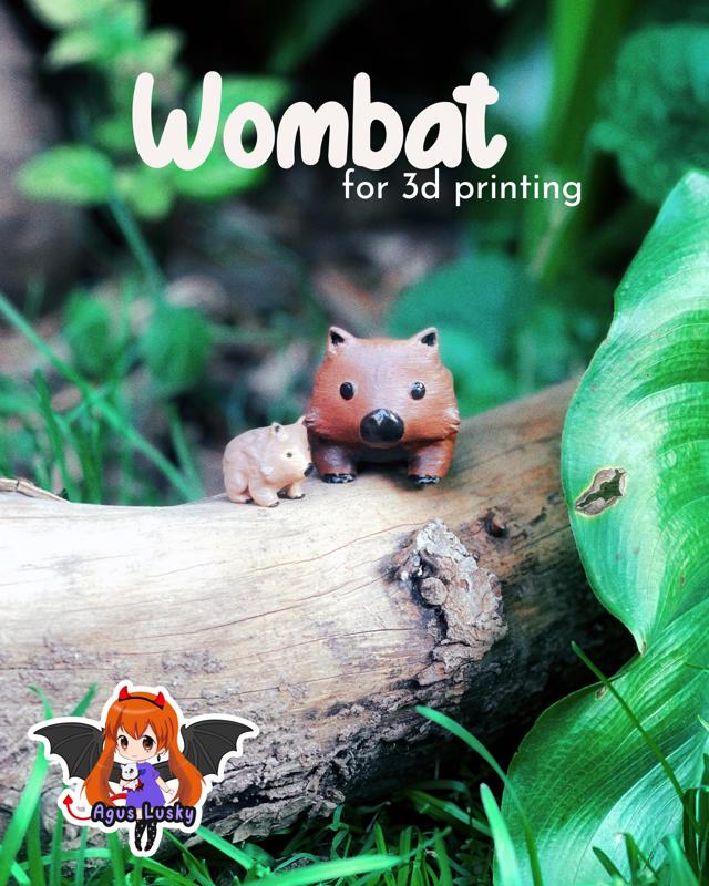 Baby Wombat