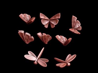 Butterflies & Dragonflies