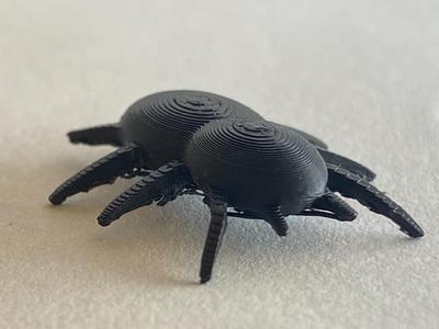 Fake spider|Realistic!