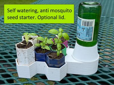 HexStarter self watering seed starter
